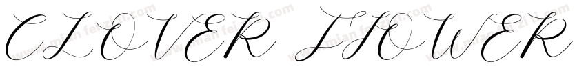 CLOVER FIOWER REGULAR字体转换